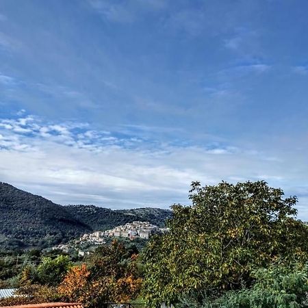 Vila Dimora Palombo Bassiano Exteriér fotografie